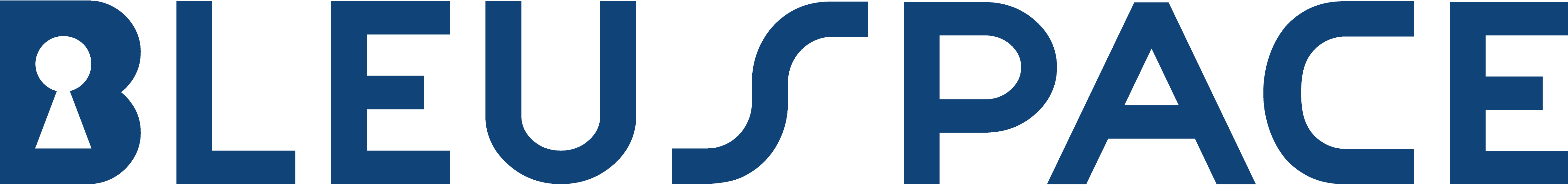 Bleuspace